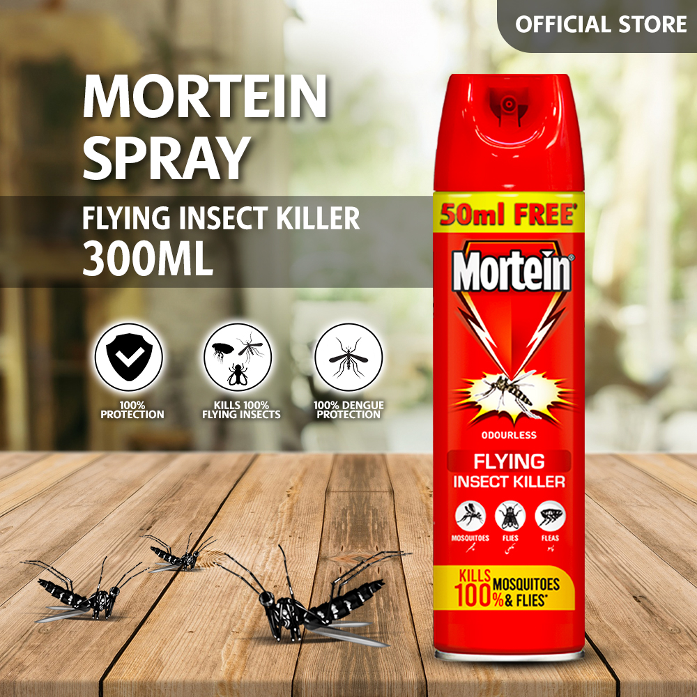 MORTEIN SPRAY 300ML